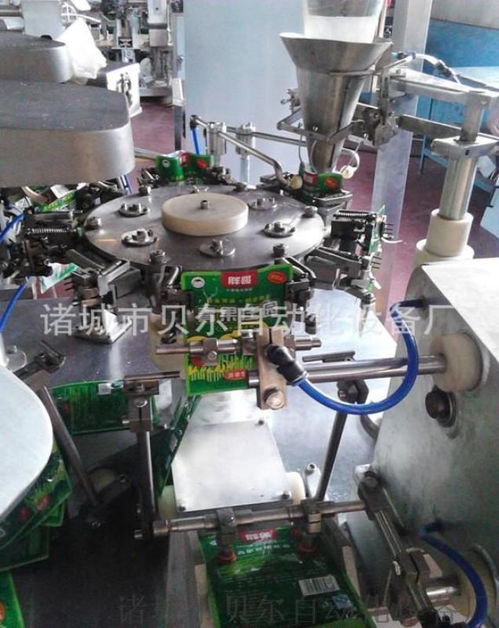 全自动豆制品真空包装机 诸城市贝尔自动化设备厂的创新之选